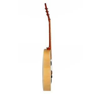 1563451476988-43.SKYLARK(CUT-A-WAY BEECH WOOD WITH PICK-UP) (4).jpg